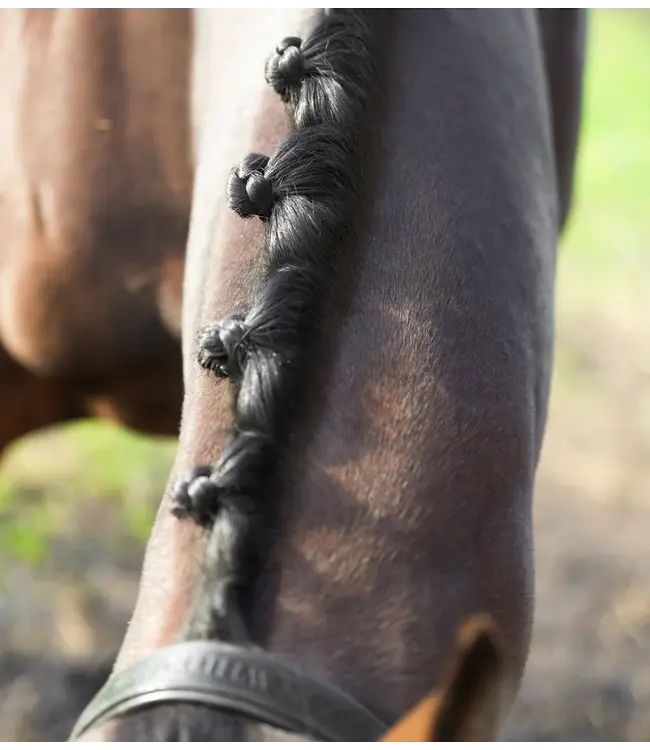 GLAS EQUINE WOODEN PLAITING COMB