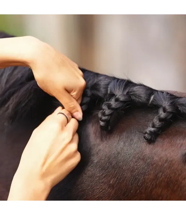 GLAS EQUINE PLAITING BANDS - White