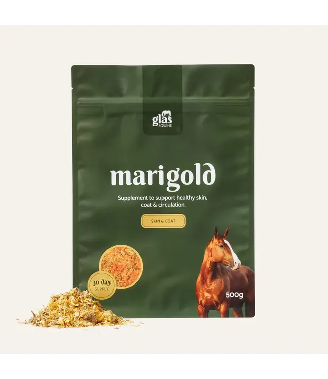 GLAS EQUINE MARIGOLD - 500g