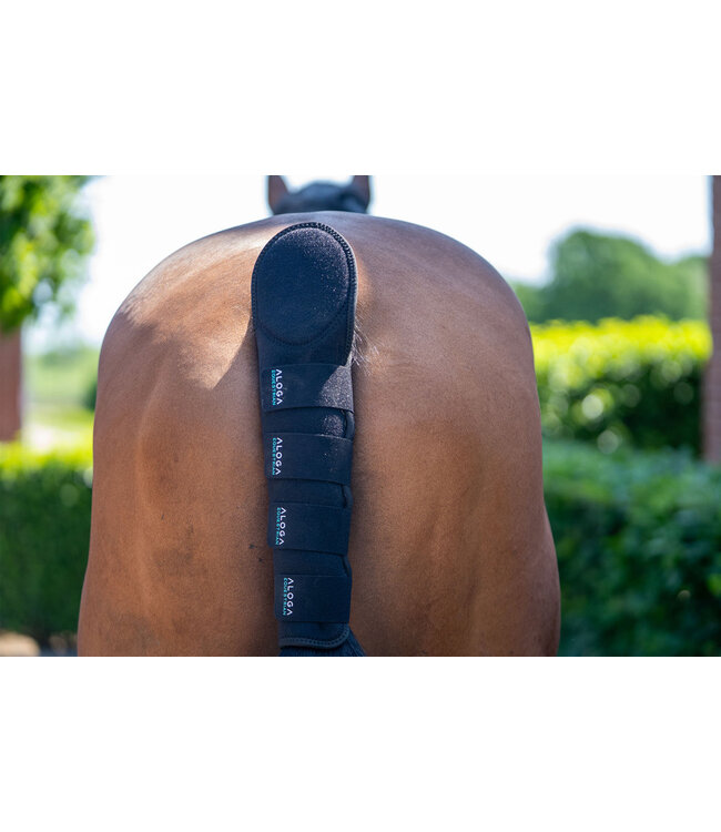 ALOGA PRO TAIL GUARD - Black