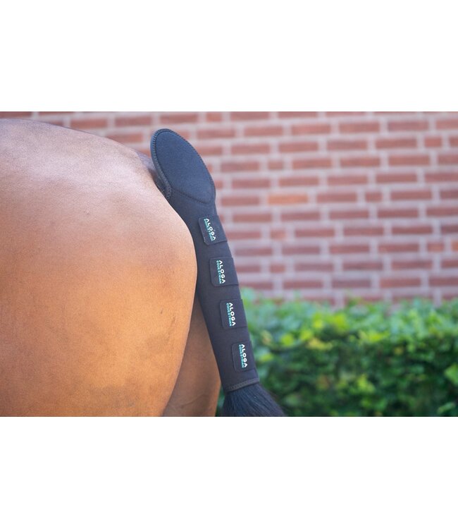 ALOGA PRO TAIL GUARD - Black