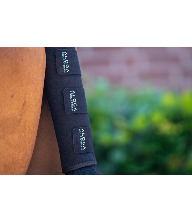 ALOGA PRO TAIL GUARD - Black