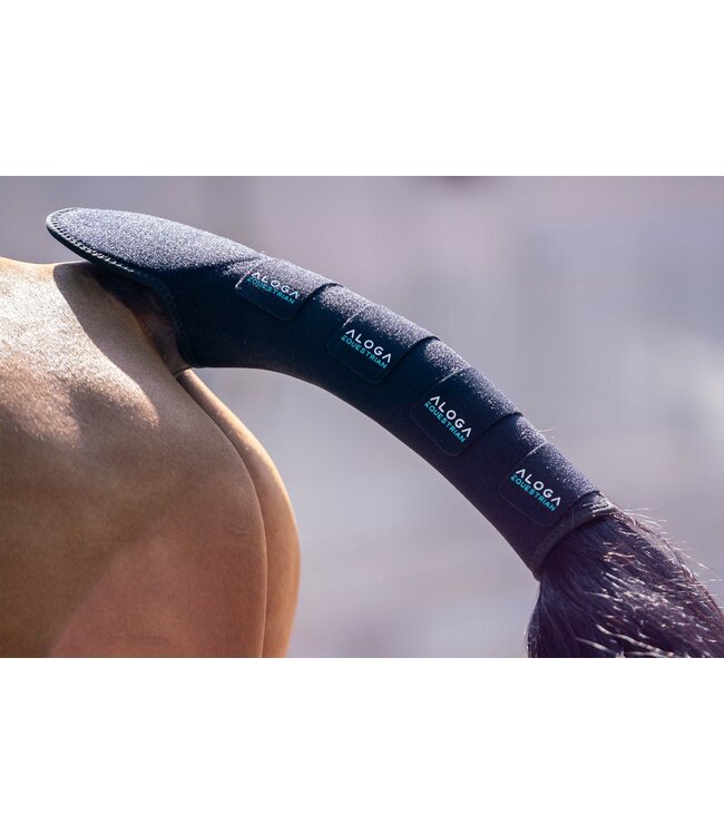 ALOGA PRO TAIL GUARD - Black