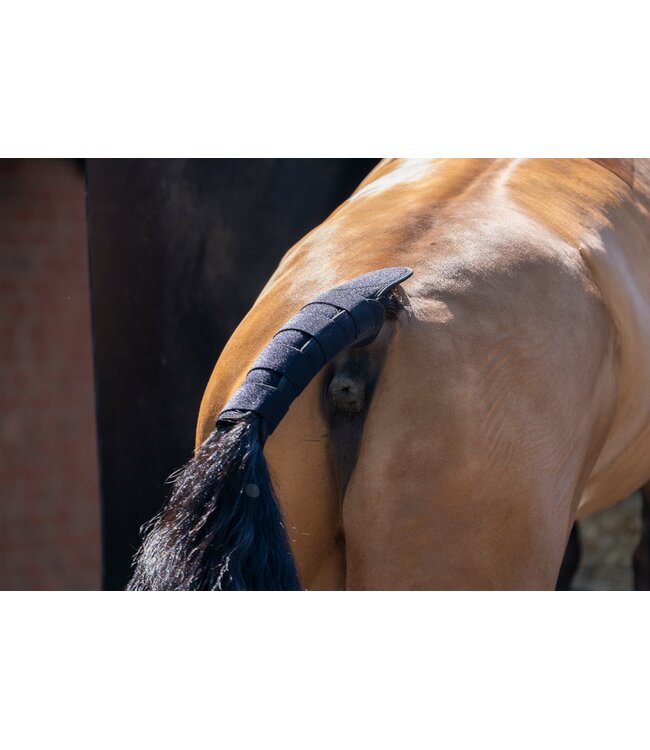 ALOGA PRO TAIL GUARD - Black