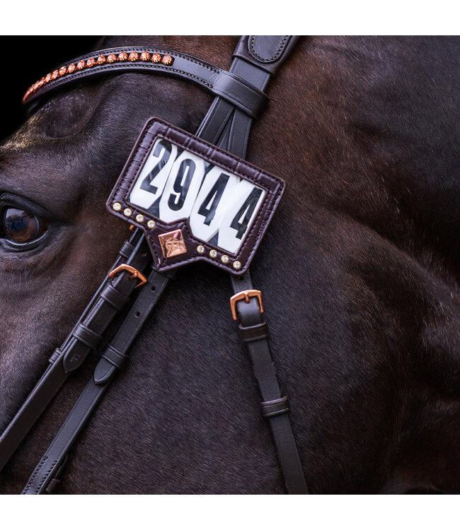 IRH SHOW & GLOW COMPETION NUMBER
