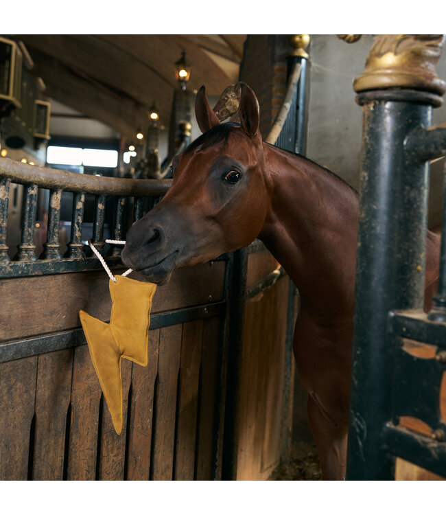 IRH STABLE BUDDY - Lightning Bolt