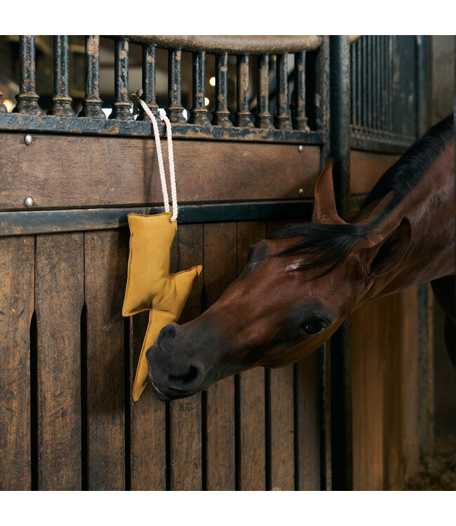 IRH STABLE BUDDY - Lightning Bolt