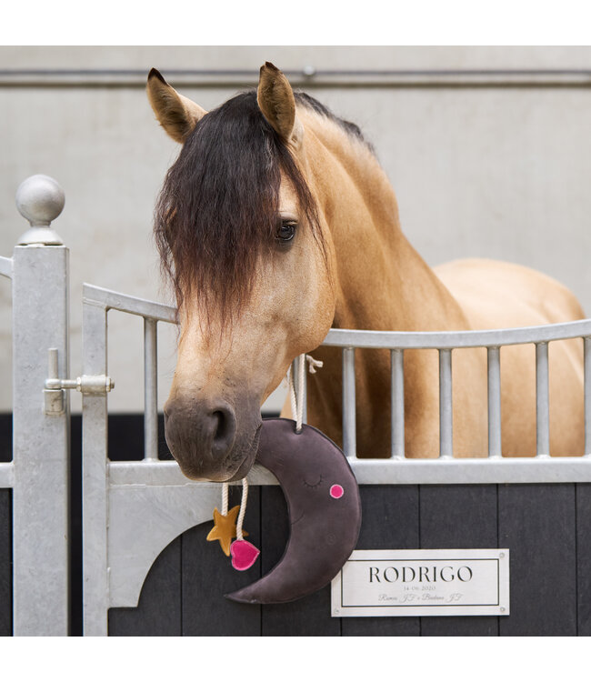 IRH STABLE BUDDY - Moon