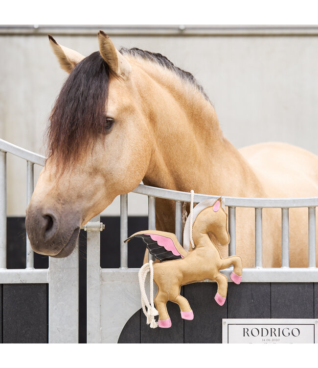 IRH STABLE BUDDY - Pegasus