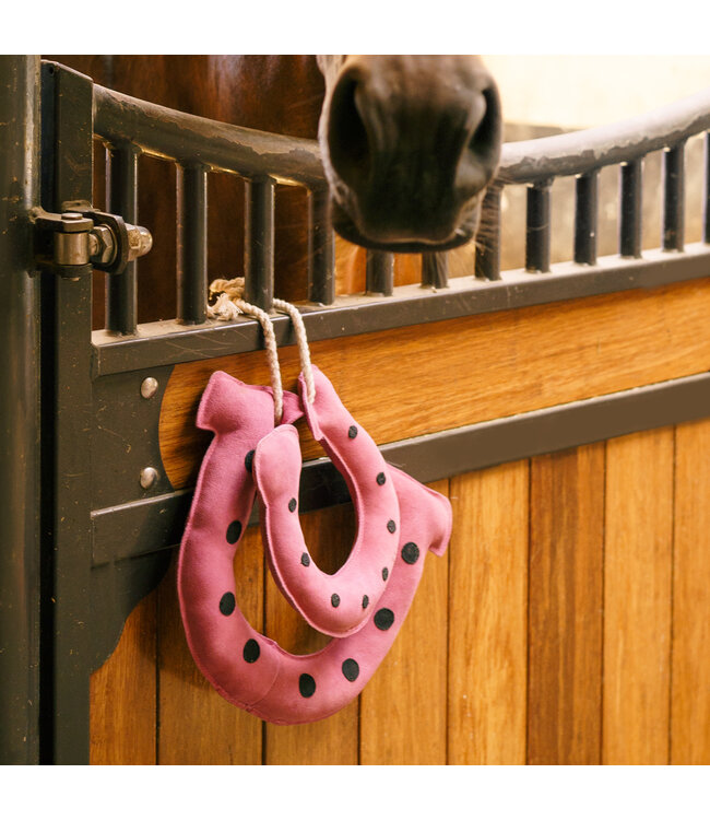 IRH STABLE BUDDY - Horseshoes