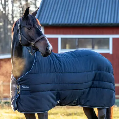 Stable Rugs