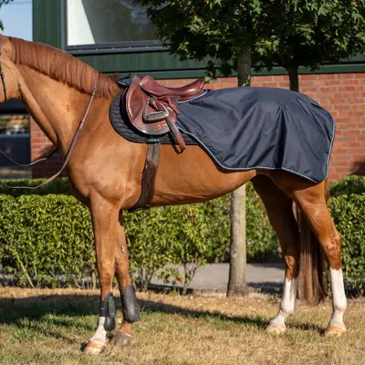 Quarter Sheets & Exercise Rugs