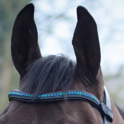 Browbands