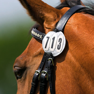 Competition Numbers & Holders