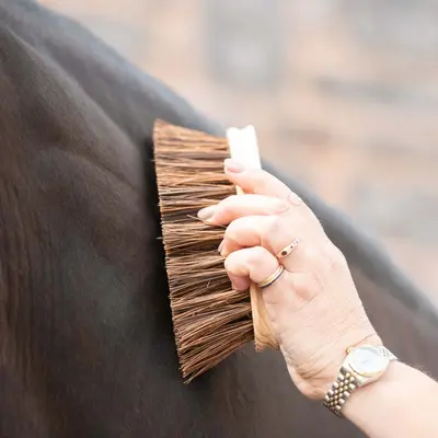 Dandy Brushes