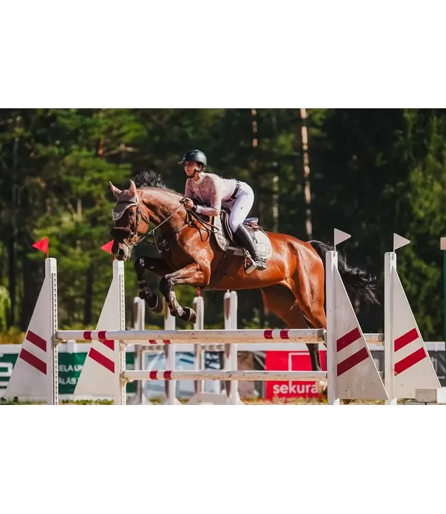 DAPPLE GP SADDLE PAD - Velvet Irish Cream
