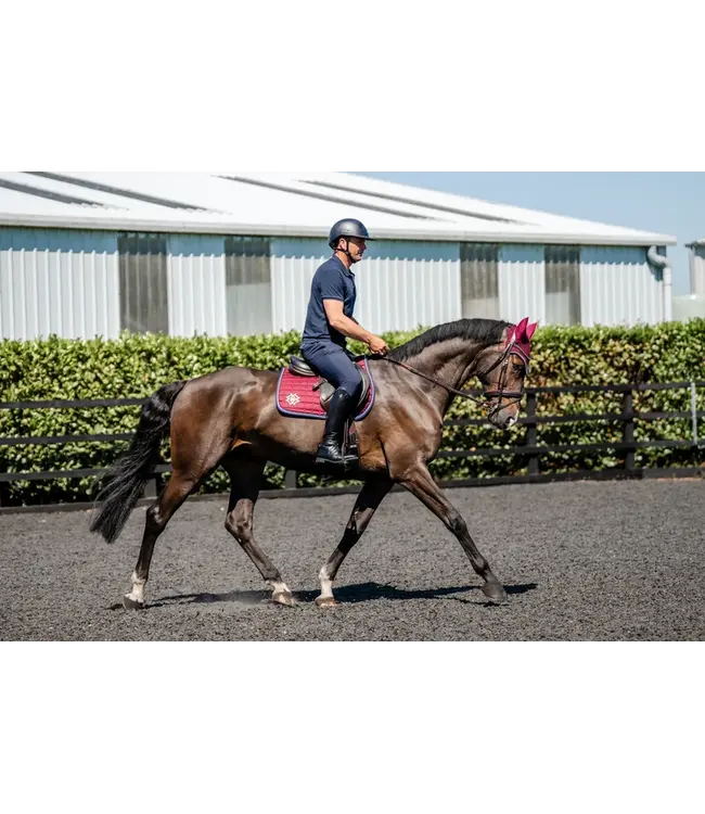 DAPPLE GP SADDLE PAD - Burgundy/Navy