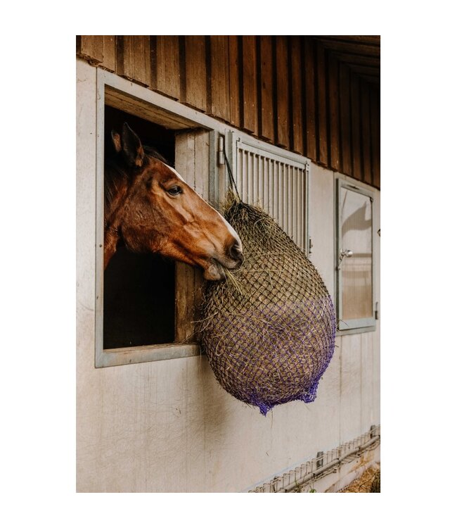 HIPPOTONIC FINE HAYNET