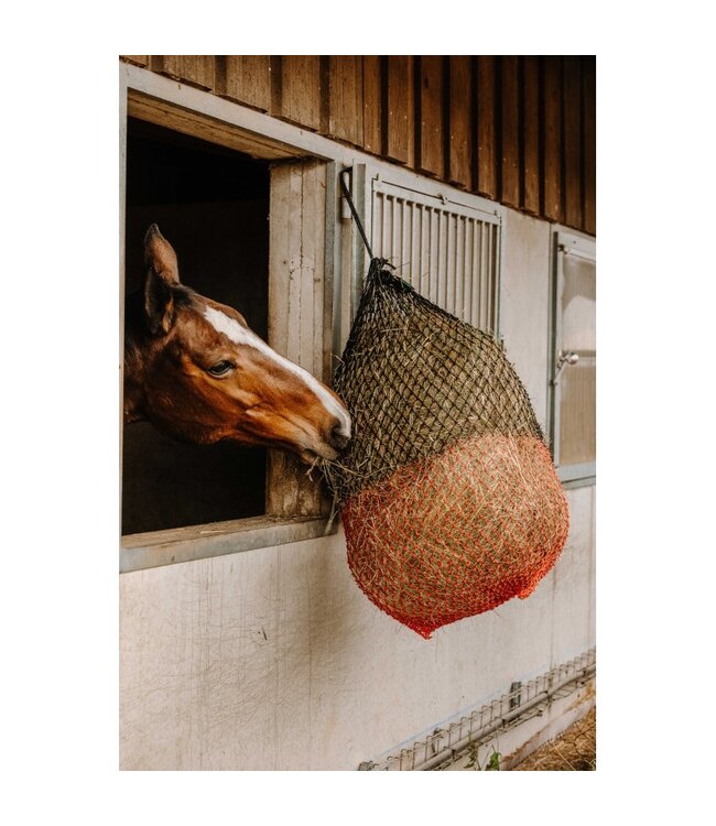 HIPPOTONIC FINE HAYNET