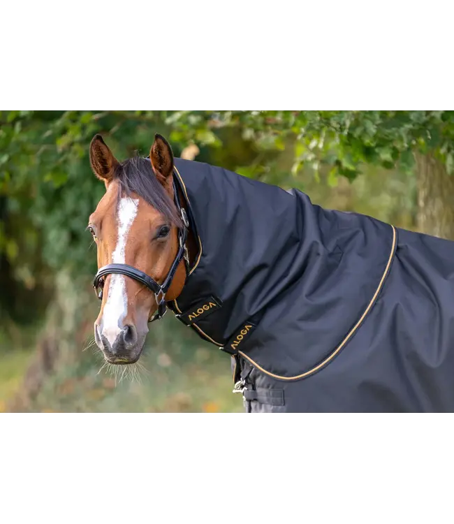 ALOGA PRO TURNOUT 350g & HOOD - Black & Orange