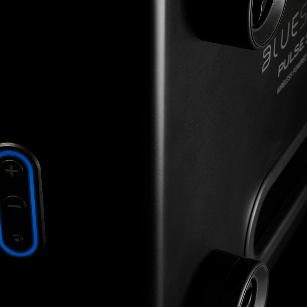 Bluesound PULSE SUB + Zwart - Subwoofer