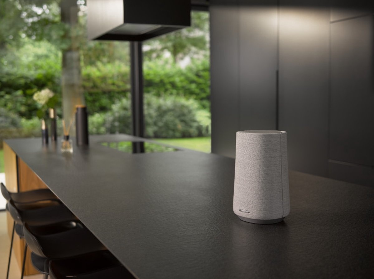 Harman Kardon Citation 100 MKII Grijs - Draadloze speaker