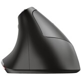 Trust 24731 Bayo - Muis