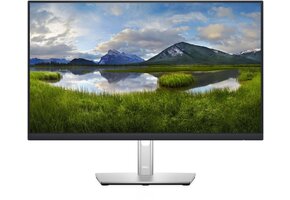 Dell P2422H - Monitor