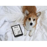 PocketBook Verse Bright Blue - E-reader