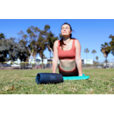 JBL Charge 5 Blauw - Draadloze speaker