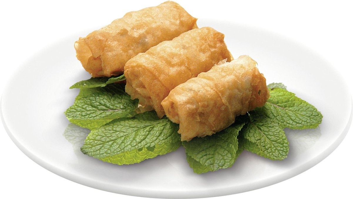 Tefal Mega XXL FR4800 - Frituurpan