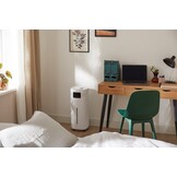 Qlima H824 - Luchtbevochtiger