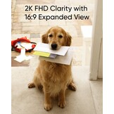 Eufy C31 Video Doorbell met SD kaart - Deurbel