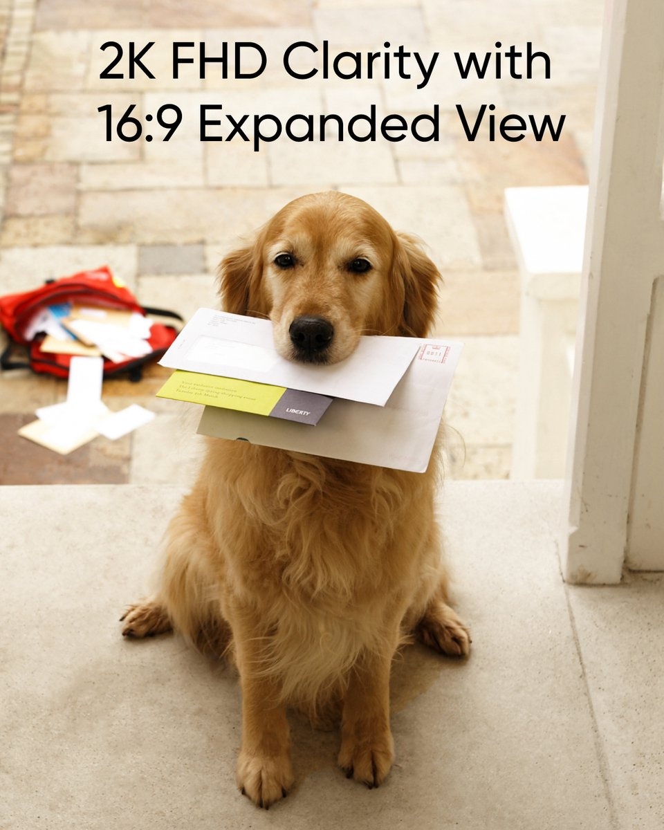 Eufy C31 Video Doorbell met SD kaart - Deurbel