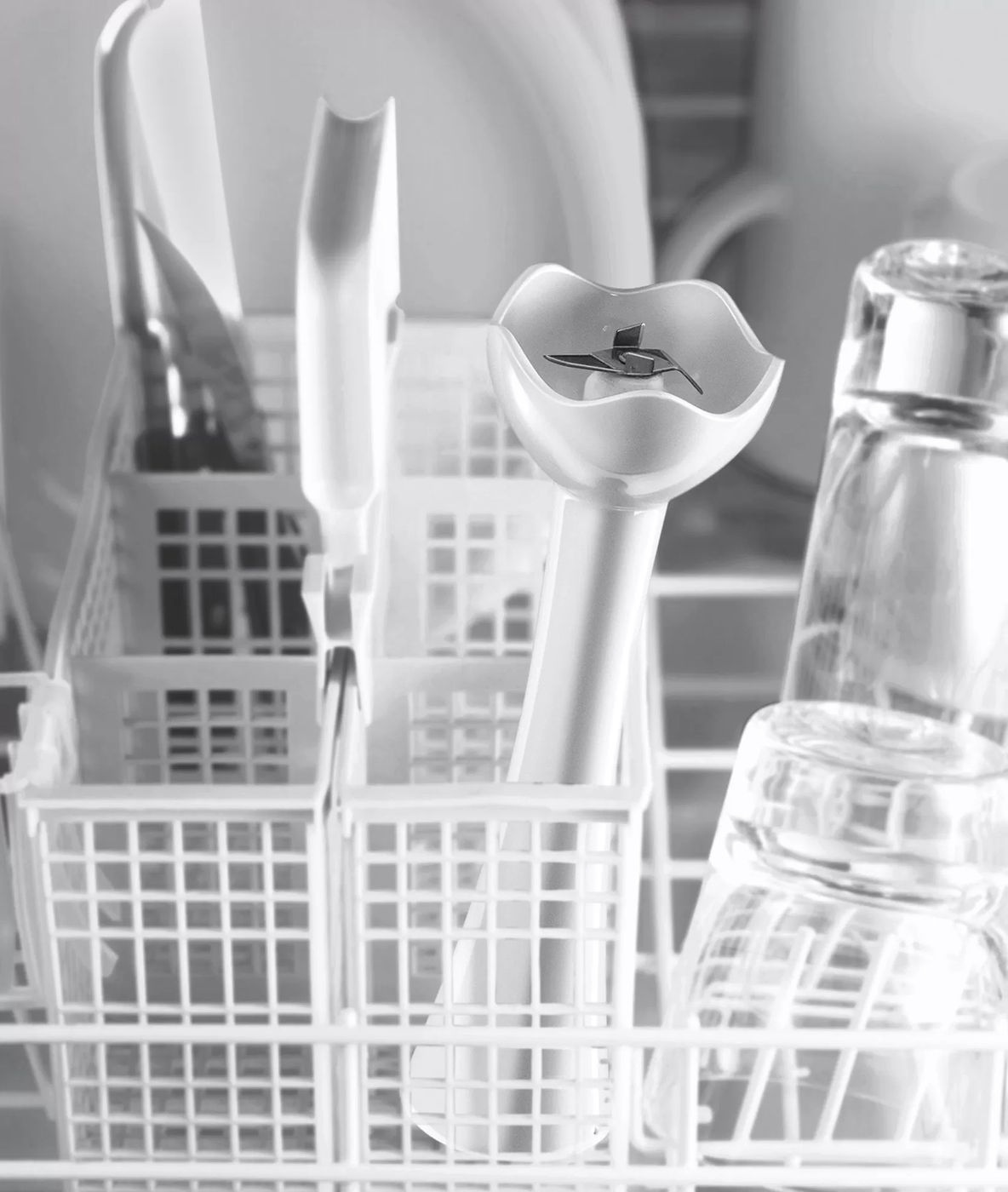 Bosch MSM6B100 - Staafmixer