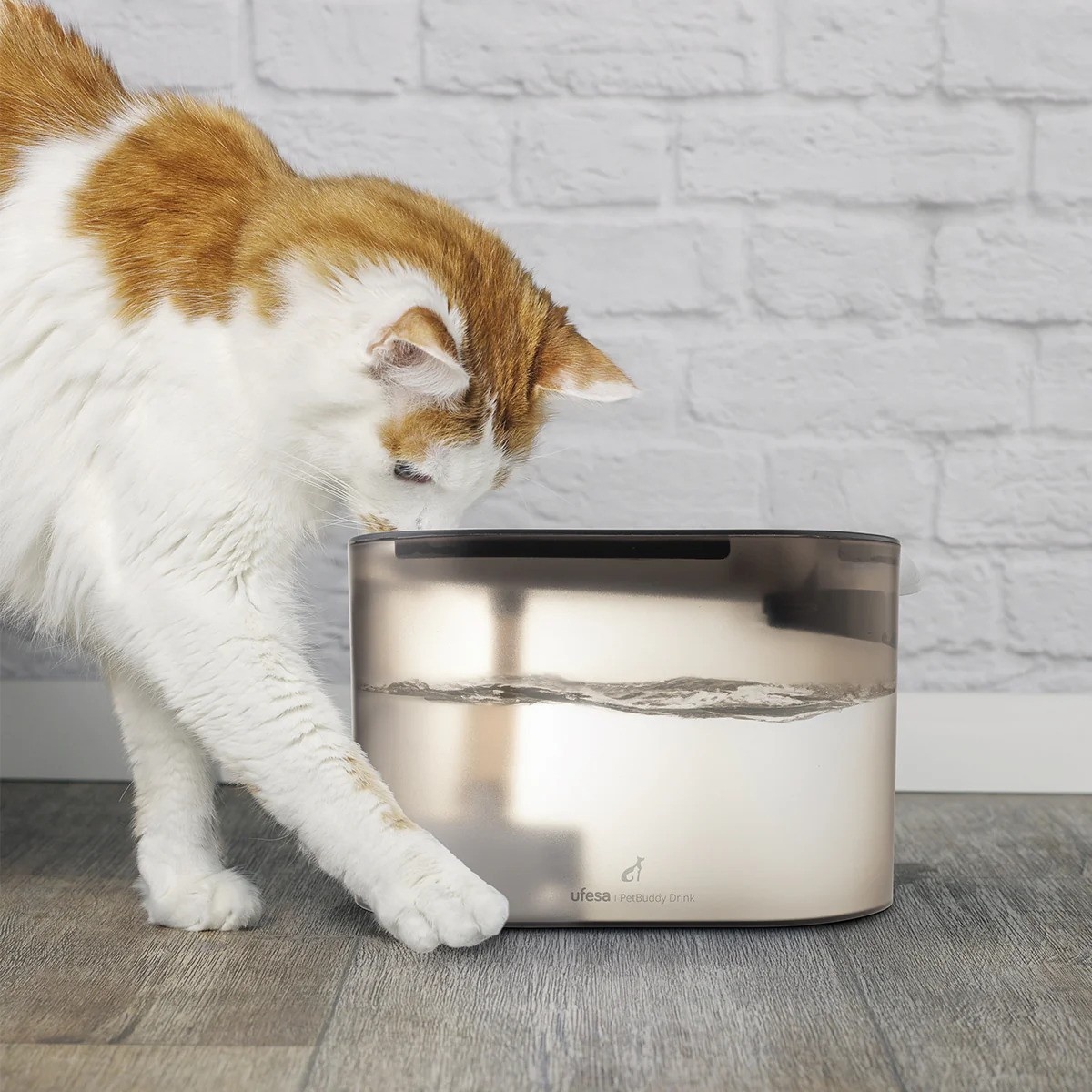 Ufesa PetBuddy Drink