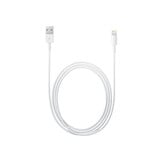 Apple Lightning to USB Cable 1 Meter