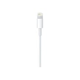 Apple Lightning to USB Cable 1 Meter