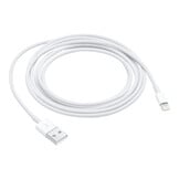 Apple Lightning to USB Cable 1 Meter