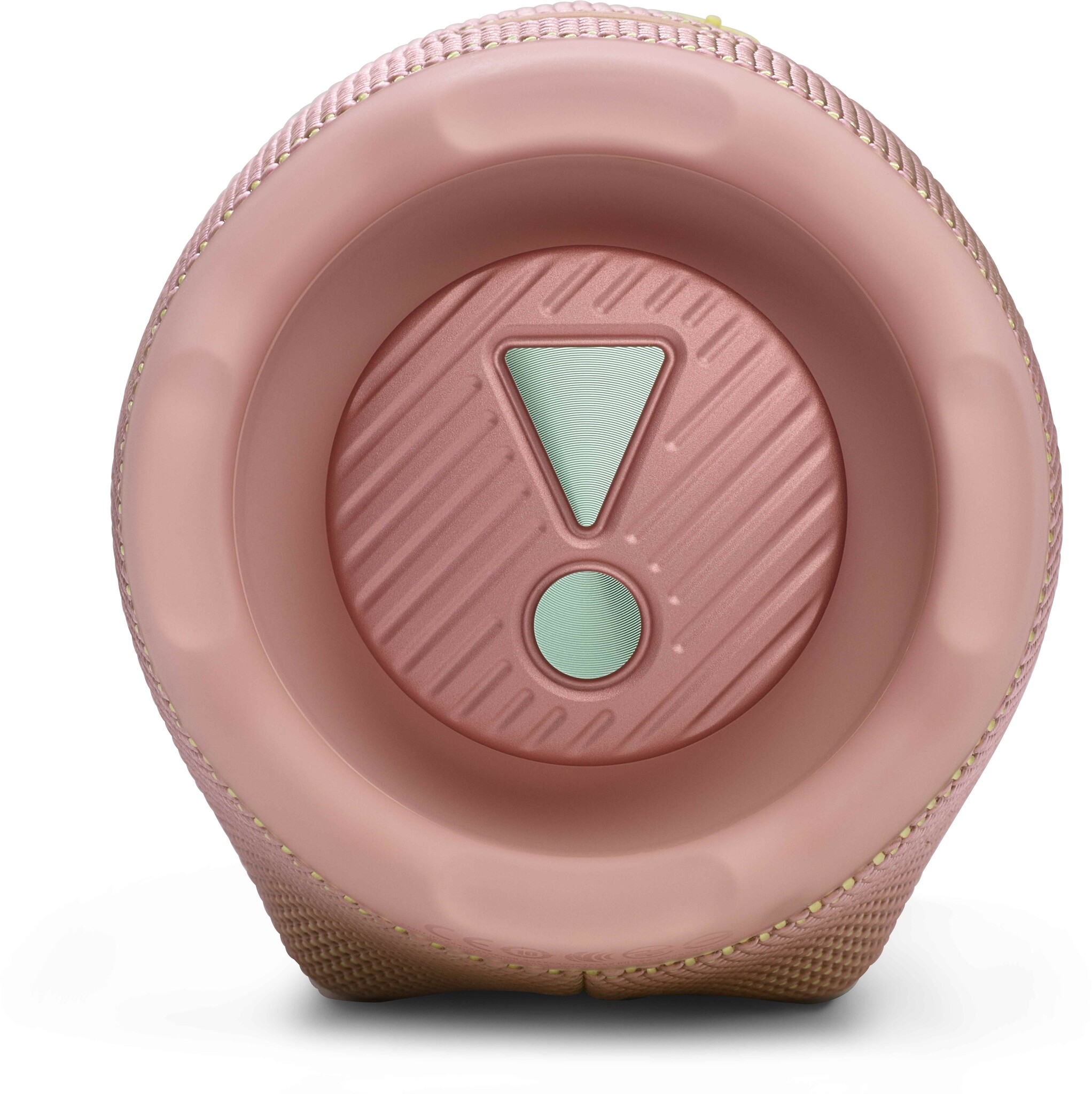 JBL Charge 6 Roze - Draadloze speaker