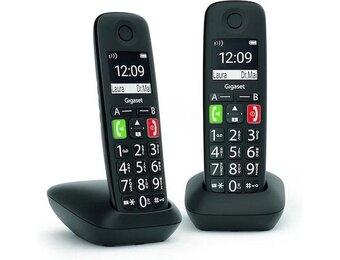 Gigaset E290R Duo - Dect telefoon