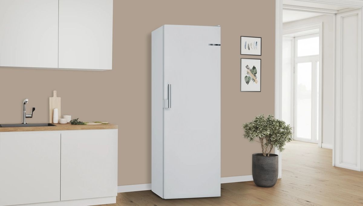 Bosch GSN29VWEP Serie 4 - Vrieskast