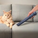 Ufesa PetBuddy Groom
