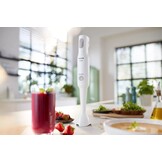Philips Daily Collection HR2531/00 - Staafmixer