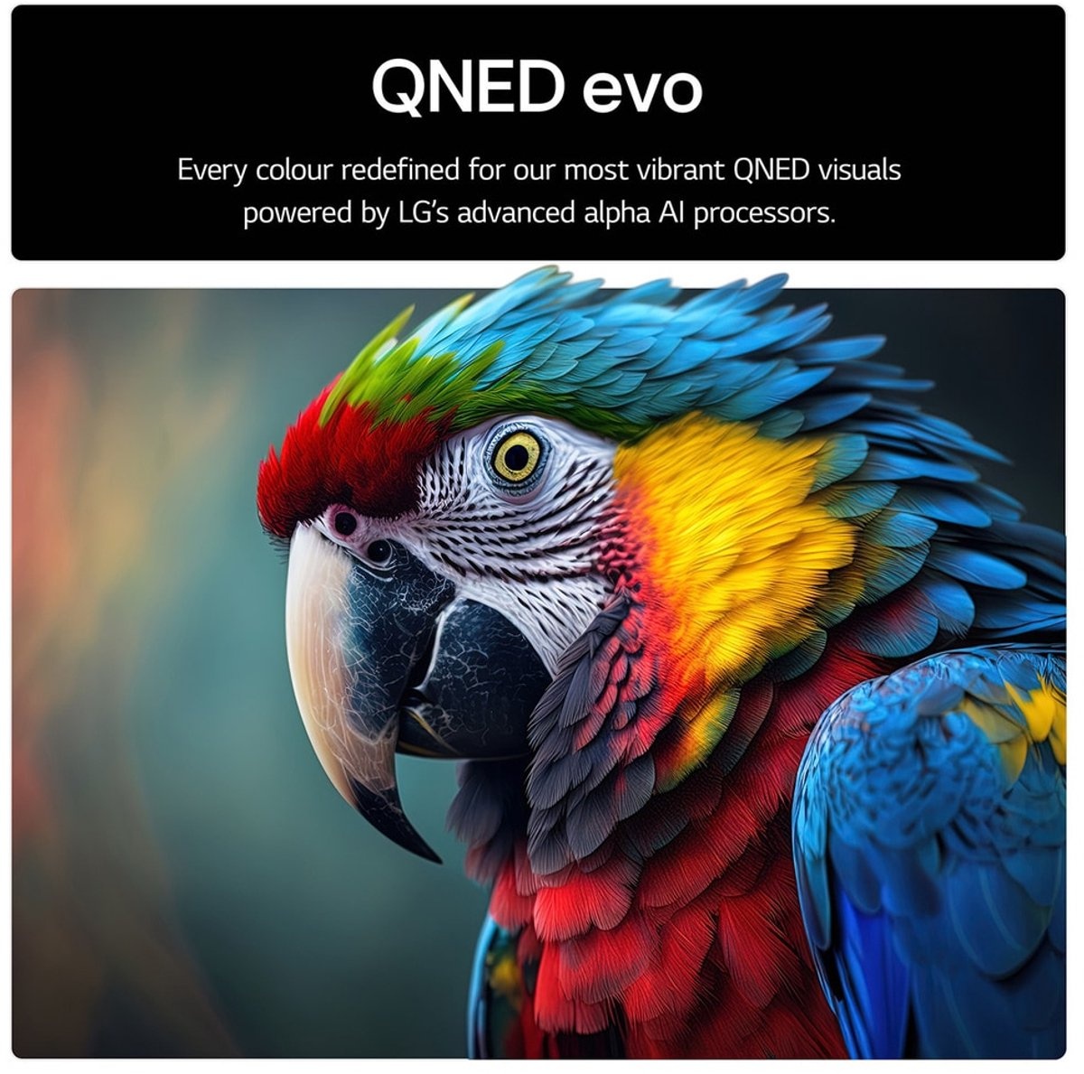 LG 65QNED85A6C (2025) - QNED TV