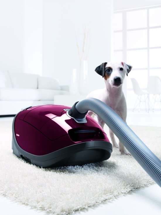 Miele Complete C3 Cat&Dog PowerLine SGEF3 Stofzuiger met zak