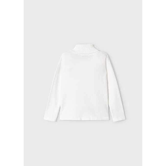 Basic knitting turtleneck     95 Natural