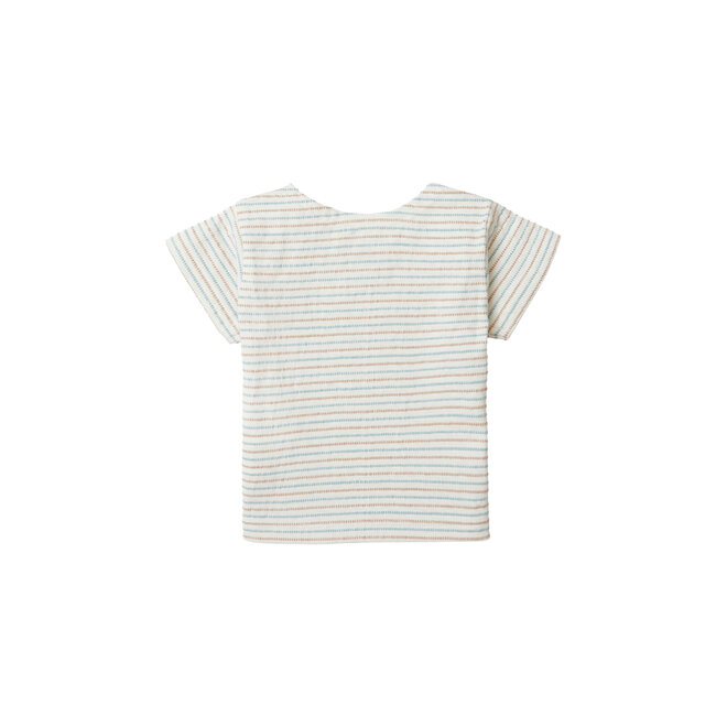 Boys Tee  Bolton short sleeve stripe P198 Whisper White