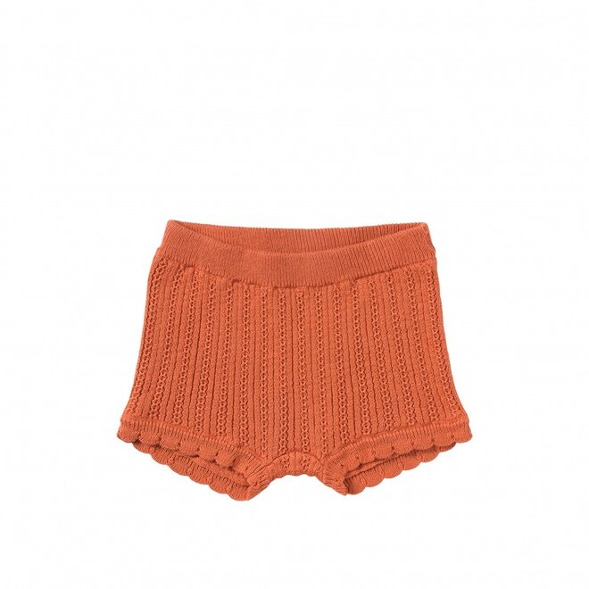 Motif Knit | Pascal 361 Apricot Brandy