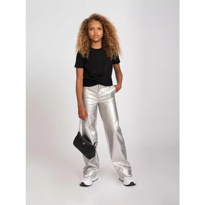 Kenner Pants  1003 Silver